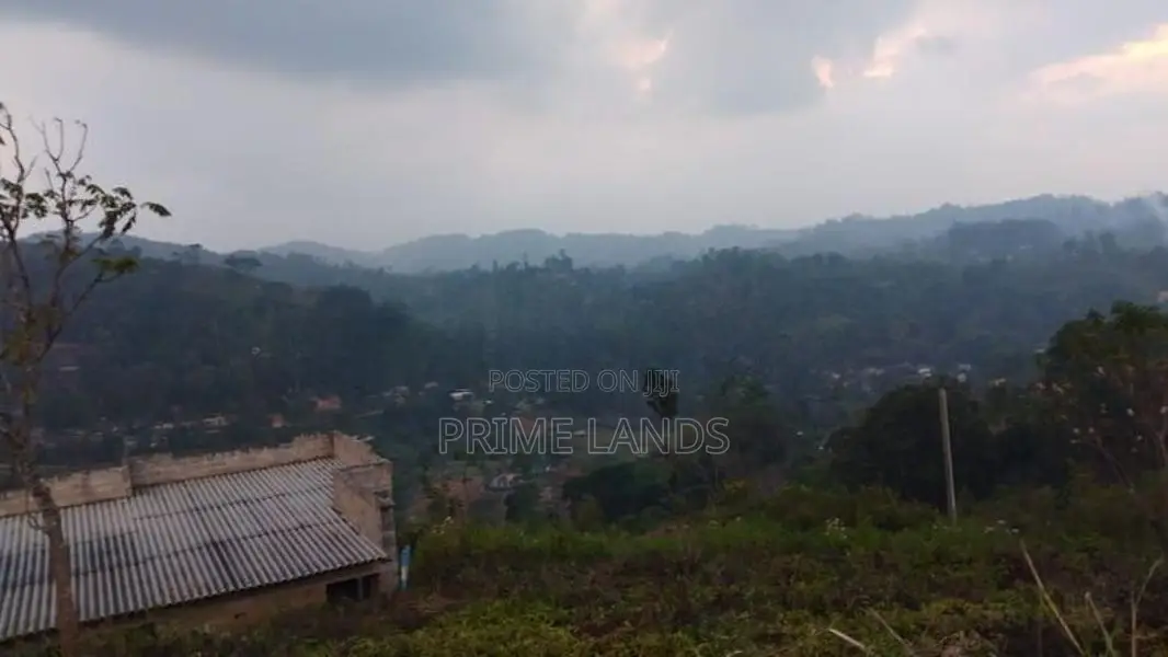 Valuable Land for Sale in Bandarawela Kontehela