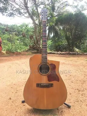 Alston D125C Guitar