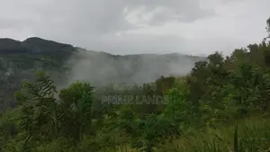 Valuable Land for Sale in Bandarawela Kontehela