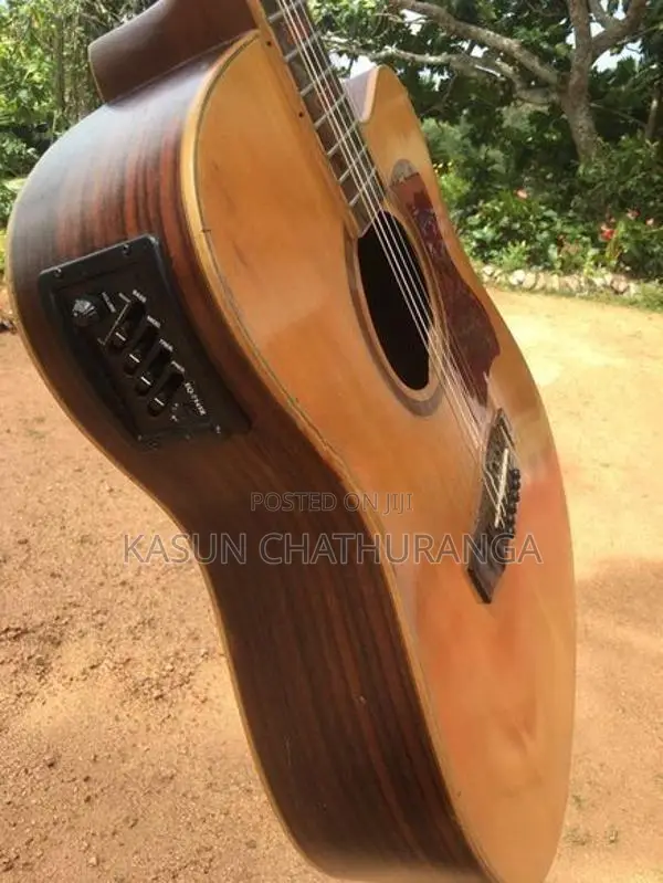 Alston D125C Guitar