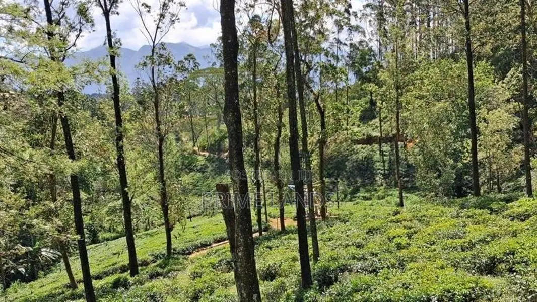 Land for Sale in Pussellawa