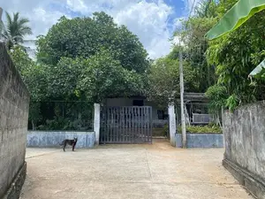 Spacious House with 15 Perches Land for Sale in Yakkala