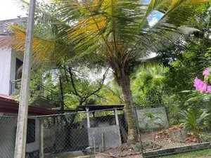 Spacious House with 15 Perches Land for Sale in Yakkala