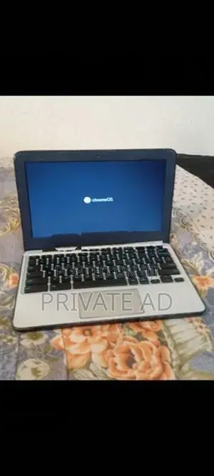 Asus Chromebook