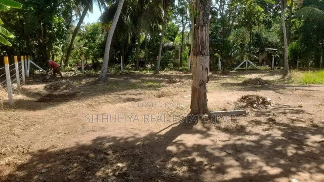 අනුරාධපුර නගරයට නුදුරින් සින්නක්කර ඉඩමක්