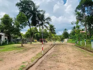 ඉඩමක් පොතුහැර