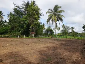 ඉඩමක් පොතුහැර