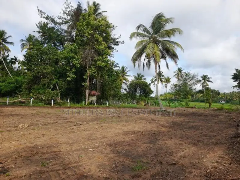 ඉඩමක් පොතුහැර