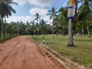 ඉඩමක් පොතුහැර