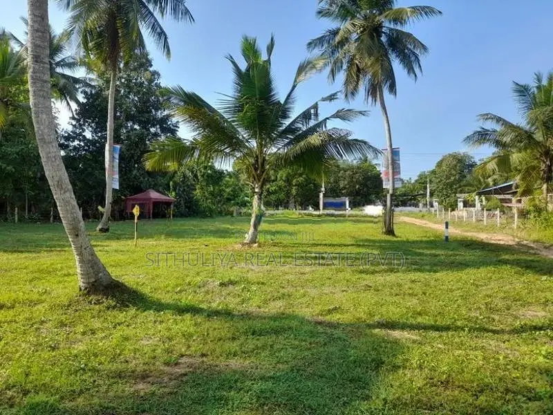 ඉඩමක් පොතුහැර
