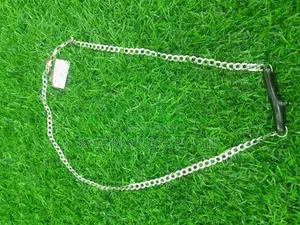 Silver Chain