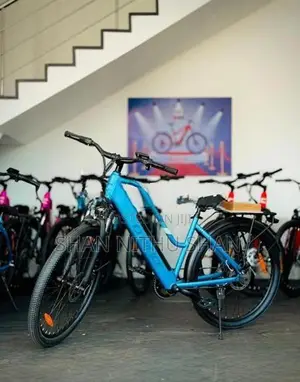 Codifice Ladies E Cycle