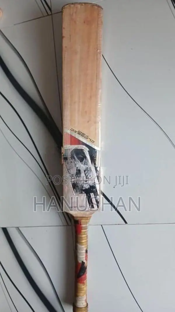 Leather Bat