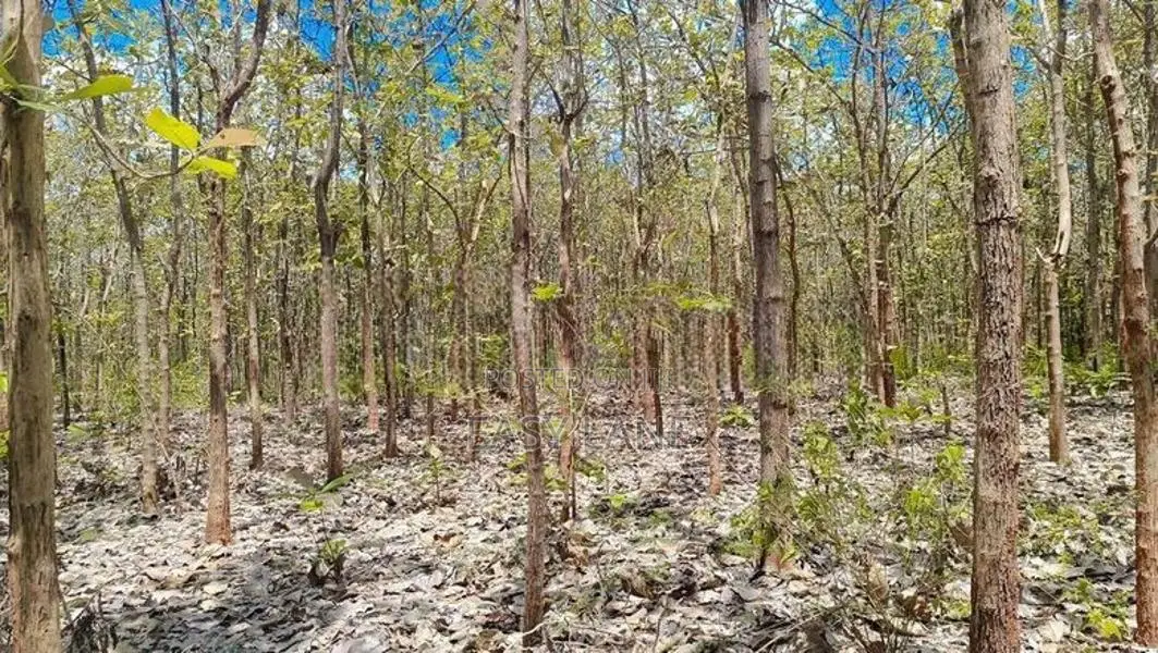 අනුරාධපුර පූජා නගරයට ආසන්නයෙන් ඉඩමක්