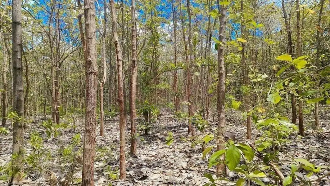 අනුරාධපුර පූජා නගරයට ආසන්නයෙන් ඉඩමක්