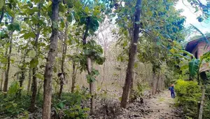 අනුරාධපුර පූජා නගරයට ආසන්නයෙන් ඉඩමක්