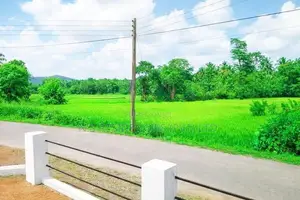 Residential Land for Sale in Giriulla R02