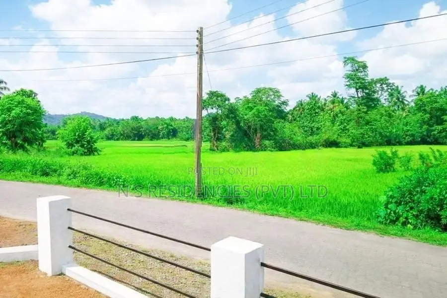 Residential Land for Sale in Giriulla R02