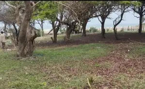 Beach Front Land for Sale Kuchchaveli