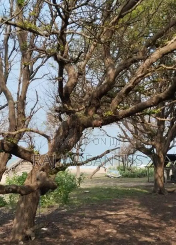 Beach Front Land for Sale Kuchchaveli