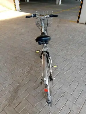 ඉලෙක්ටිුක් පාපැදිය චාජර් සමග