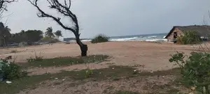 Beach Front Land for Sale Kuchchaveli