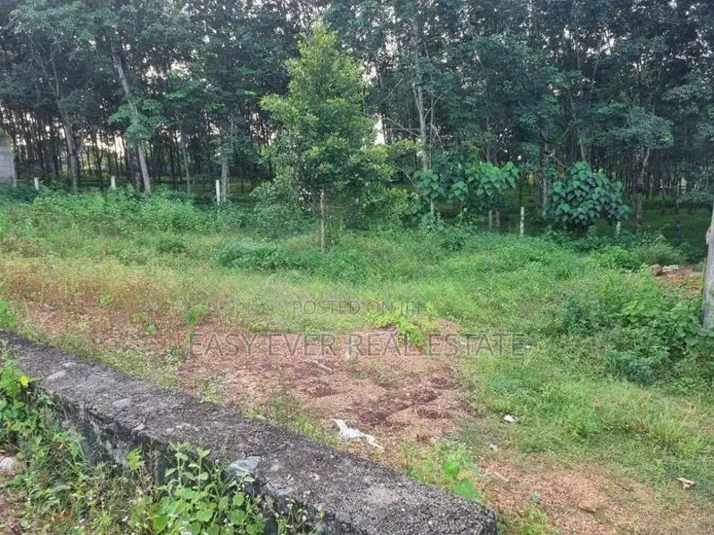 කොස්ගම Town හි වටිනා ඉඩමක් විකිණීමට / DM 13911