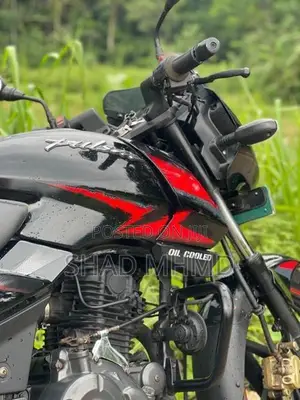 Bajaj Pulsar 150 Twin Disk 2019