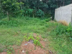 කොස්ගම Town හි වටිනා ඉඩමක් විකිණීමට / DM 13911