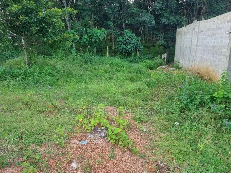 කොස්ගම Town හි වටිනා ඉඩමක් විකිණීමට / DM 13911