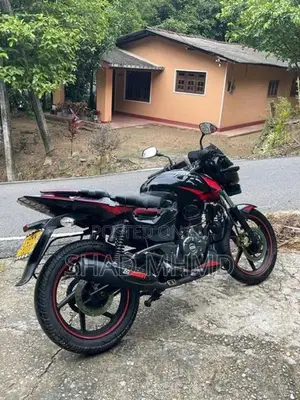 Bajaj Pulsar 150 Twin Disk 2019