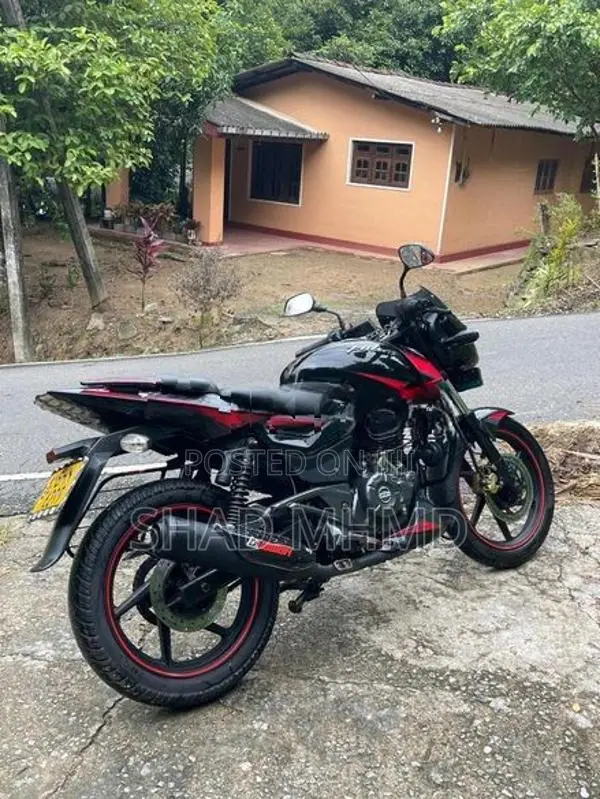 Bajaj Pulsar 150 Twin Disk 2019
