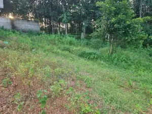 කොස්ගම Town හි වටිනා ඉඩමක් විකිණීමට / DM 13911
