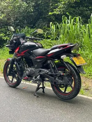Bajaj Pulsar 150 Twin Disk 2019