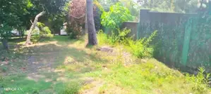 Land For Sale In Wekada-Panadura