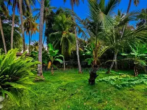 Land for Sale in Kelaniya