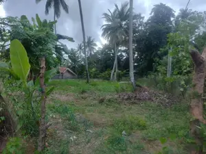 Prime Commercial Land in Ja-Ela