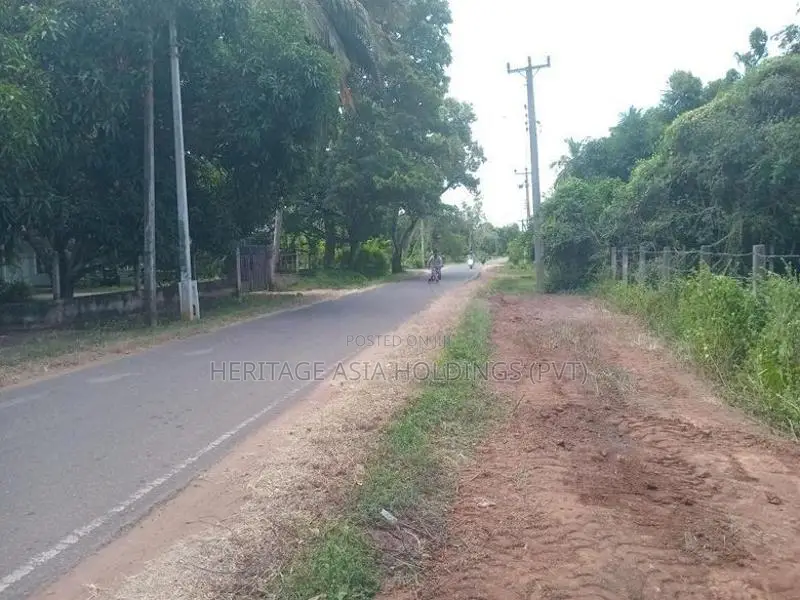 ගල්පාලම බස්පාරට මුහුනලා ඉඩමක් විකිනිමට පෙරිමියන්කුලම