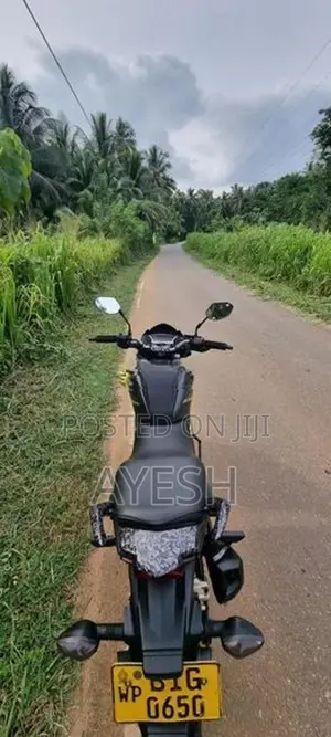 Honda CB Hornet 160R Special edition 2019