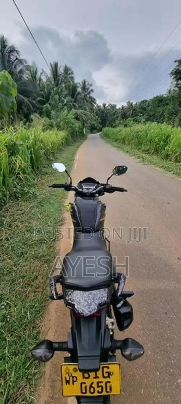 Honda CB Hornet 160R Special edition 2019