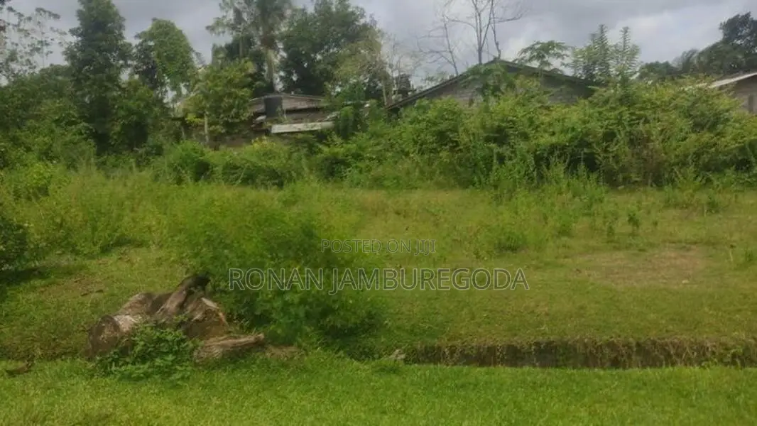 Residential Land for Sale Pokunuvita