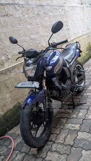 Yamaha FZ 1 V1 2013