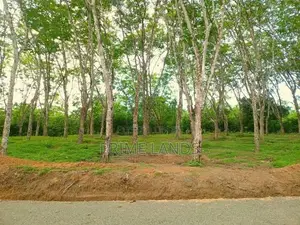 අහංගම සංචාරක කලාපයට ආසන්නව