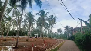 Valuable Land in Gampaha City Limits
