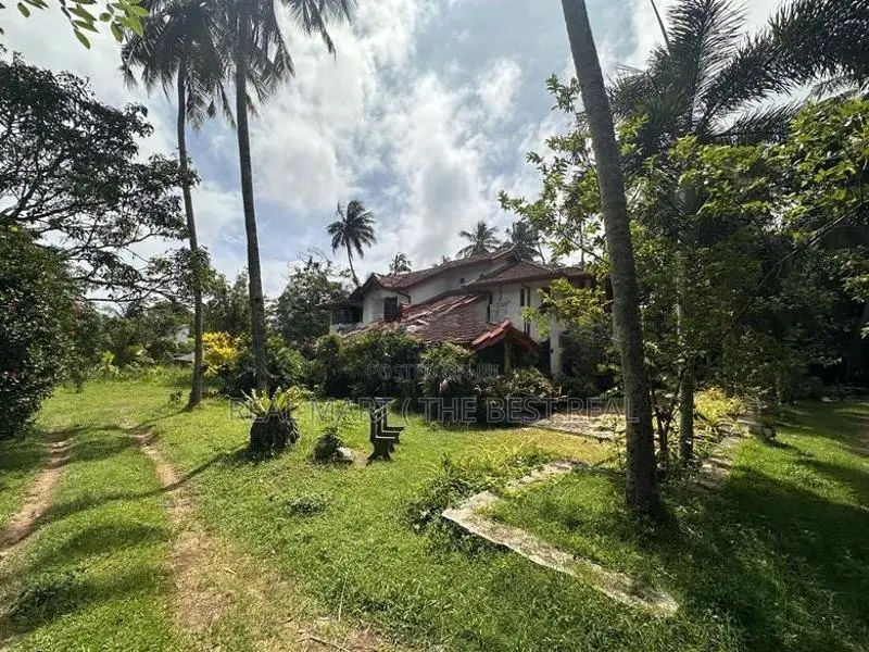 Seeduwa 560 Perches Valuable Land with Houses for Sale