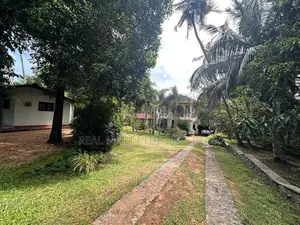 Seeduwa 560 Perches Valuable Land with Houses for Sale