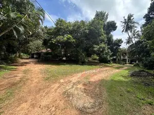 Seeduwa 560 Perches Valuable Land with Houses for Sale