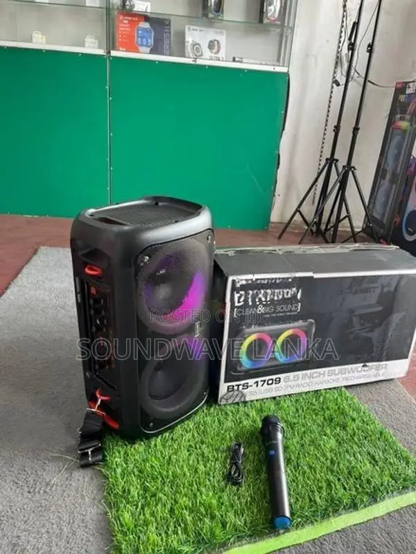 Brodu Karaoke Speaker