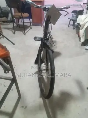 Ladies Bicycle