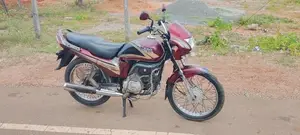 Hero Passion Plus 2008